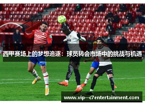 西甲赛场上的梦想追逐:球员转会市场中的挑战与机遇 西甲赛场上的梦想追逐:球员转会市场中的挑战与机遇