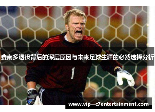 费南多退役背后的深层原因与未来足球生涯的必然选择分析 费南多退役背后的深层原因与未来足球生涯的必然选择分析