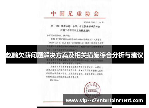 赵鹏欠薪问题解决方案及相关措施综合分析与建议