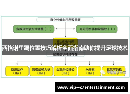 西格诺里踢位置技巧解析全面指南助你提升足球技术
