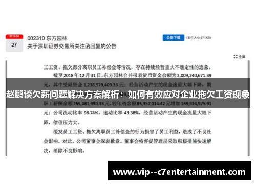 赵鹏谈欠薪问题解决方案解析：如何有效应对企业拖欠工资现象